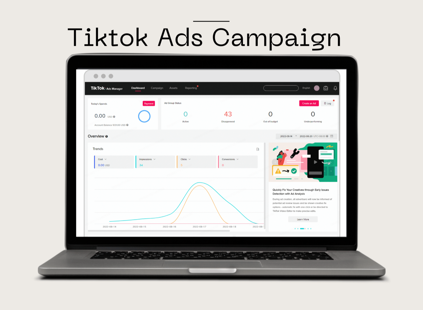 TikTok Marketing Campaign